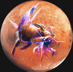 Mars in Capricorn