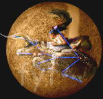 Mercury in Taurus
