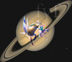 Saturn in Capricorn