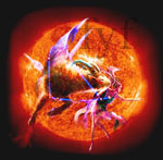The Sun in Capricorn